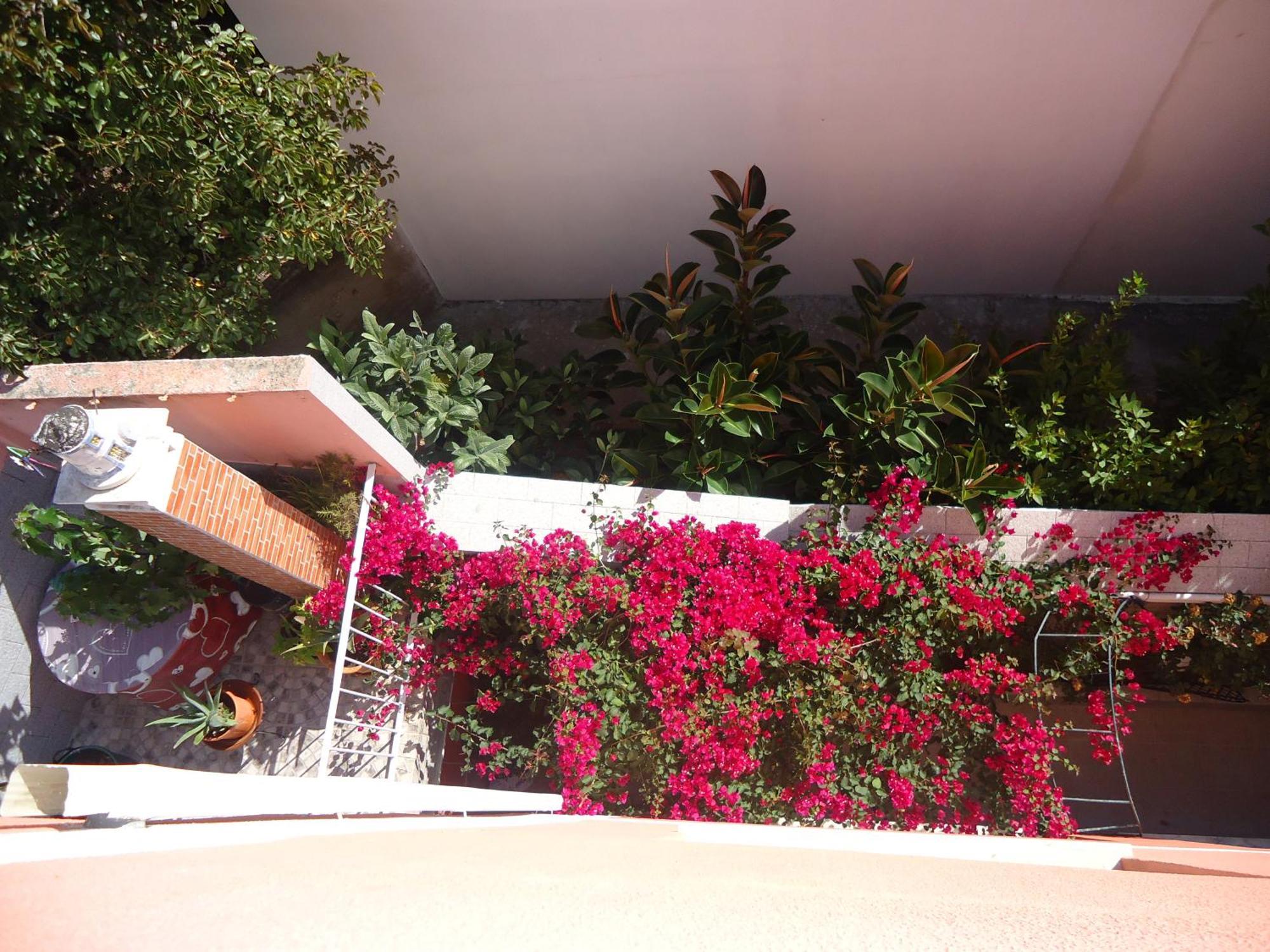 Hotel Aviz Figueira da Foz Buitenkant foto